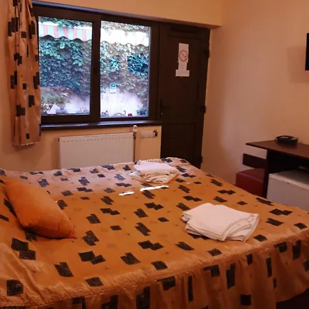 Casa Elisabeta *