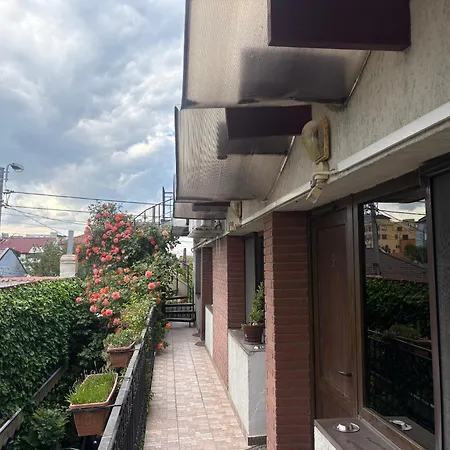 Casa Elisabeta 招待所 康斯坦察
