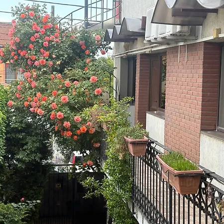 Casa Elisabeta 康斯坦察