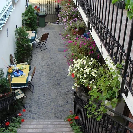 Casa Elisabeta 招待所 康斯坦察