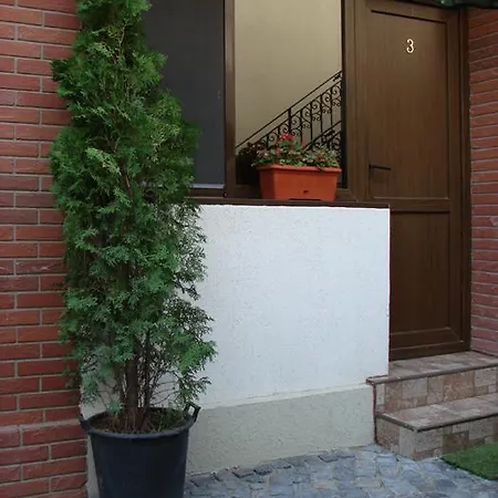بيت ضيافة Casa Elisabeta 3*