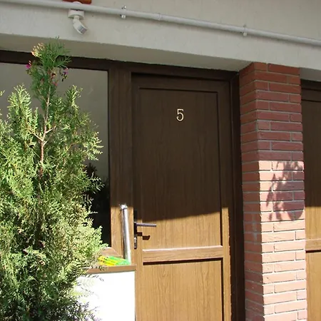 Casa Elisabeta 招待所 康斯坦察