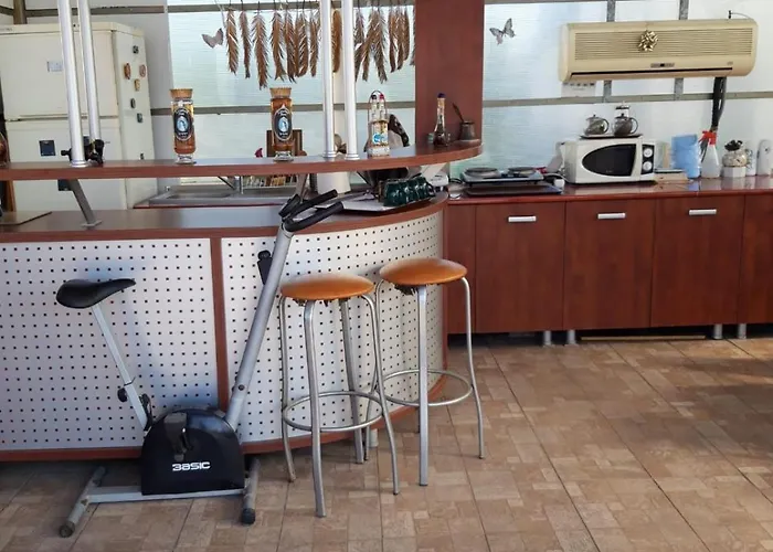 Pensión Casa Elisabeta Constanţa