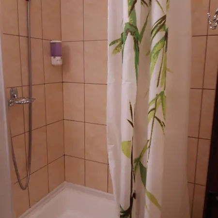 Guest house Casa Elisabeta 3*