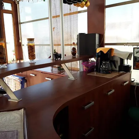 Casa Elisabeta Guest house