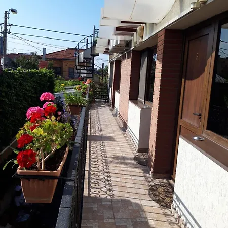 Casa Elisabeta Guest house 3*