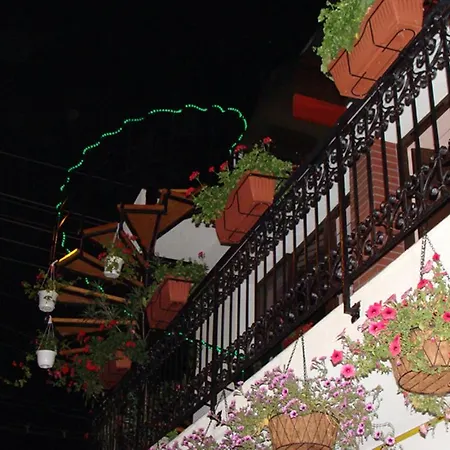 Guest house Casa Elisabeta Constanta