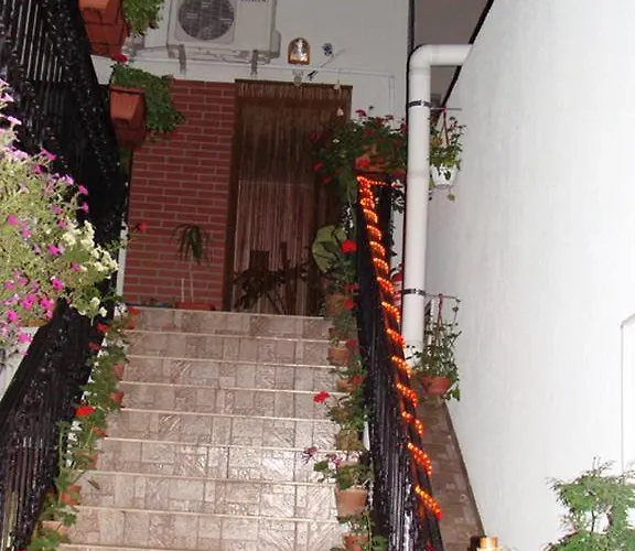 Casa Elisabeta ゲストハウス