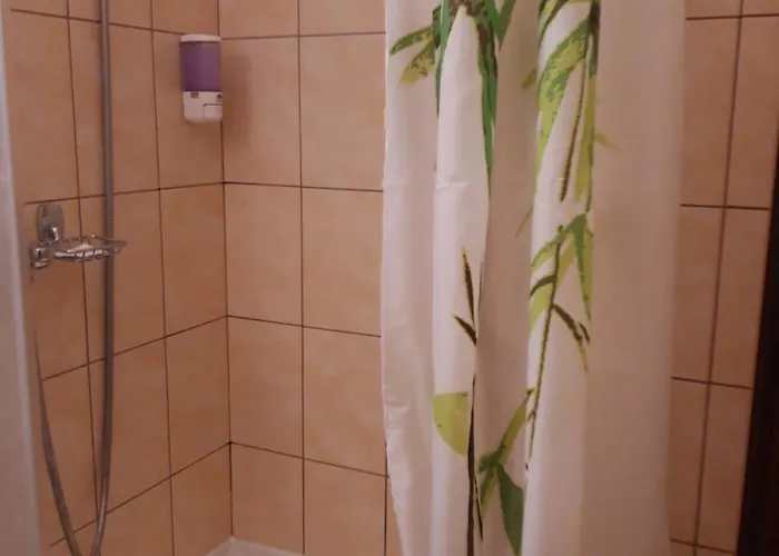 ゲストハウス Casa Elisabeta 3*