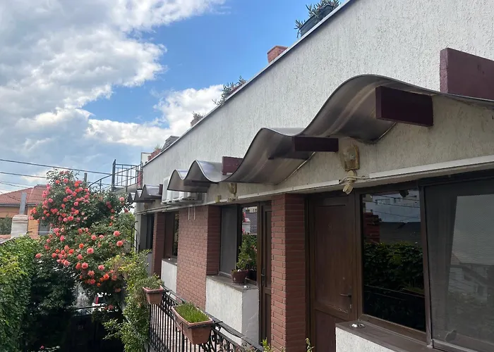 ゲストハウス Casa Elisabeta 3*