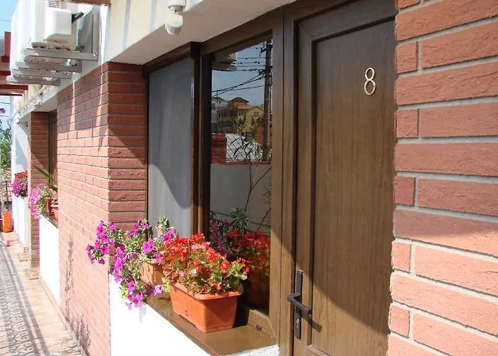 Casa Elisabeta ゲストハウス