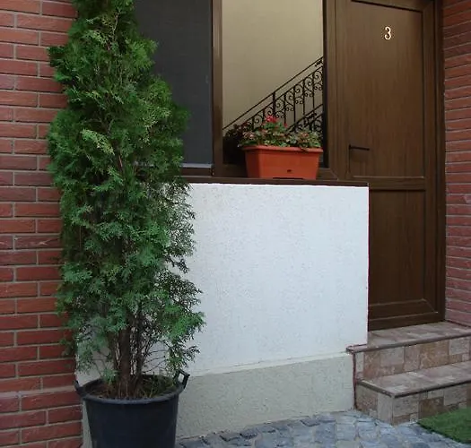 ゲストハウス Casa Elisabeta 3*