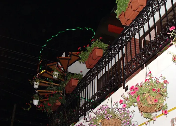 ゲストハウス Casa Elisabeta コンスタンツァ